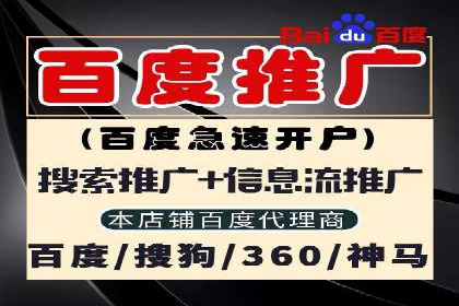 某电商平台的SEM优化案例分享